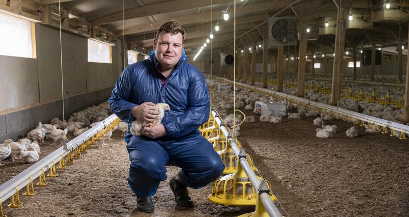 An image of James Mottershead holding a chicken