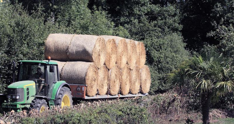 An image of a trailer full of hay bales