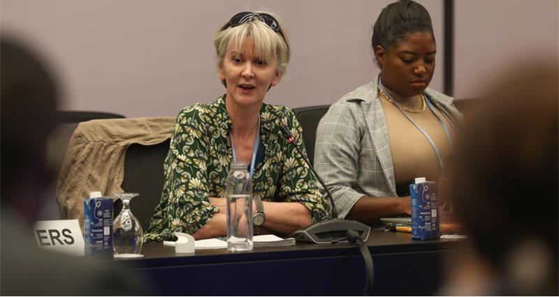An image of NFU climate change adviser Dr Ceris Jones speaking on a panel at COP27