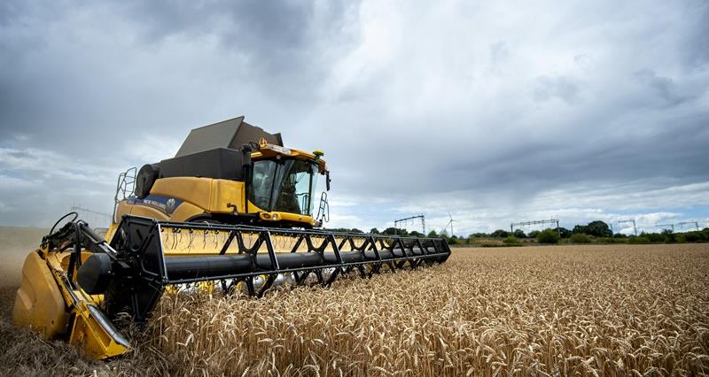 Wheat_harvest_Whittington_15.JPG