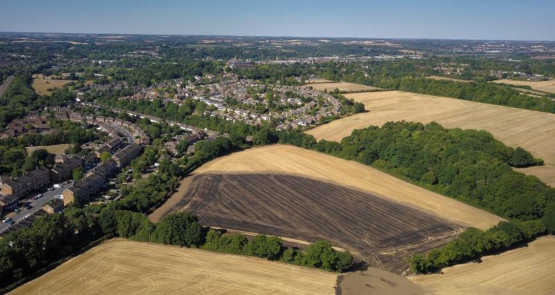 Aerial view of a burt field