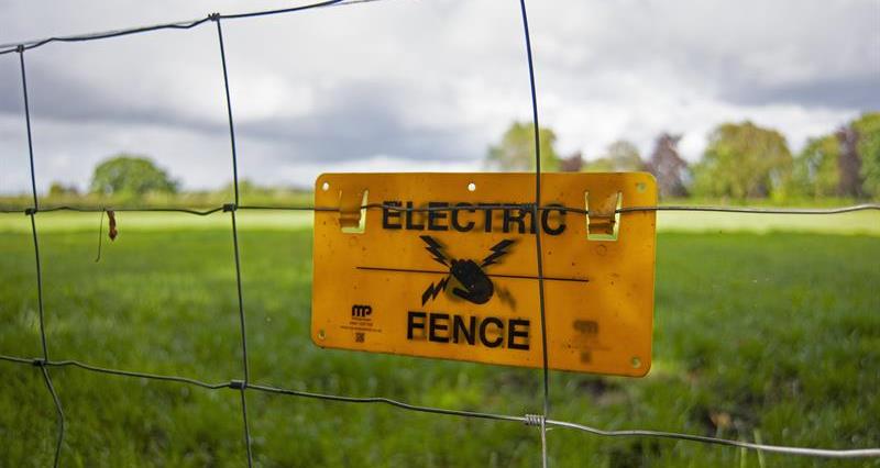 Province of Manitoba  agriculture - Everything You Need to Know About  Electric Fencing