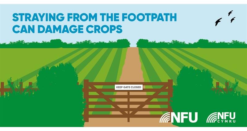 Countryside Code straying from footpath can damage crops NFU Twitter infographic