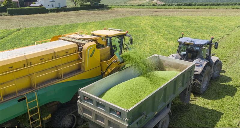 EU publishes Protein Plan to reinforce EU Food Security