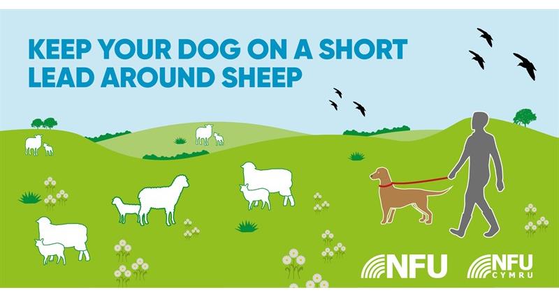 Countryside Code short lead NFU Twitter infographic