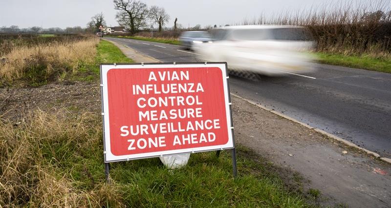 An image of an avian influenza control measure zone sign at the side of a road 