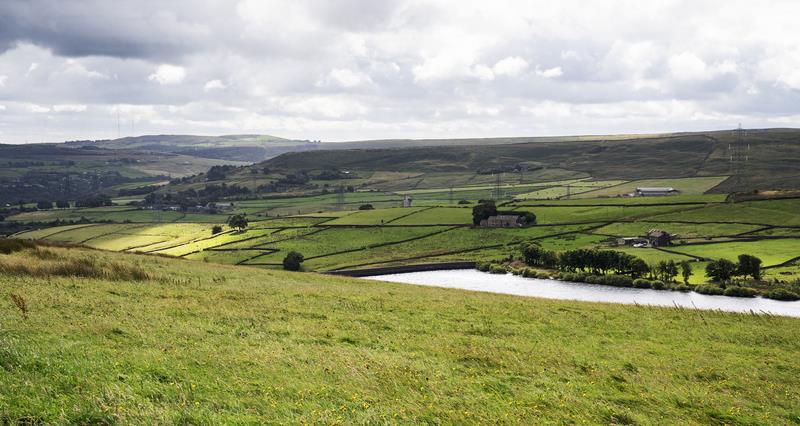 Farming landscape