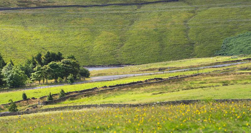 Farming landscape