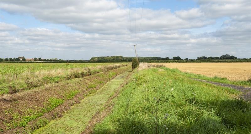 A farming landscape