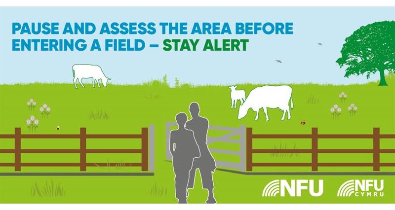 Countryside Code pause and assess NFU Twitter infographic
