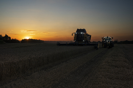 Wheat_Harvest_Atkin_02_95801