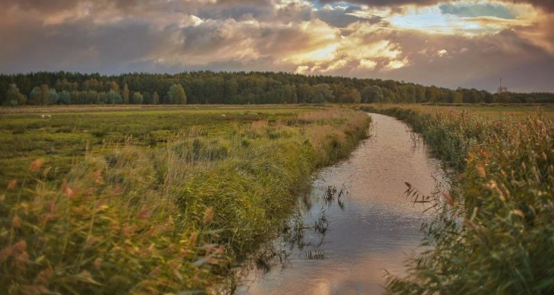 An image of a river running through green fields