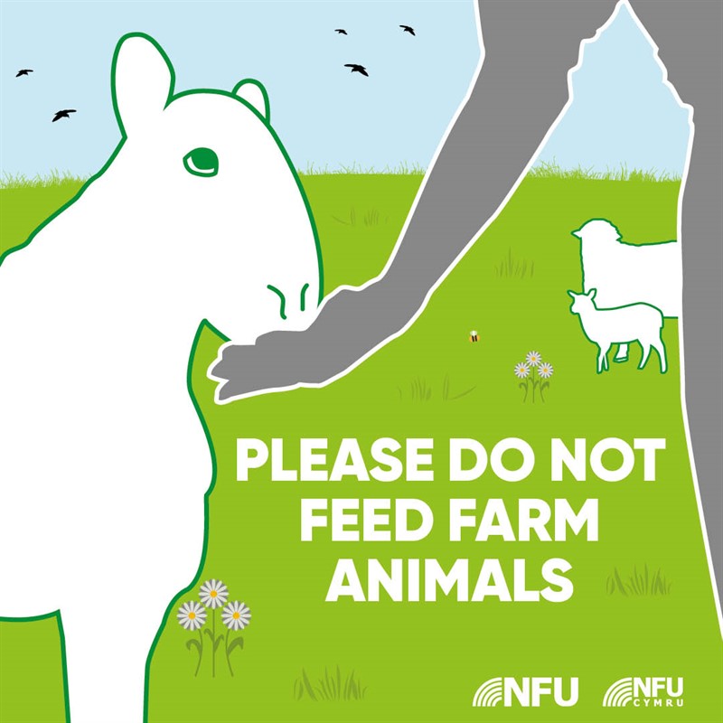 NFU Countryside Code infographic don't feed farm animals Facebook Instagram