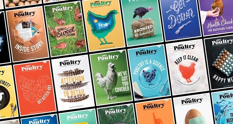 Poultry magazine covers