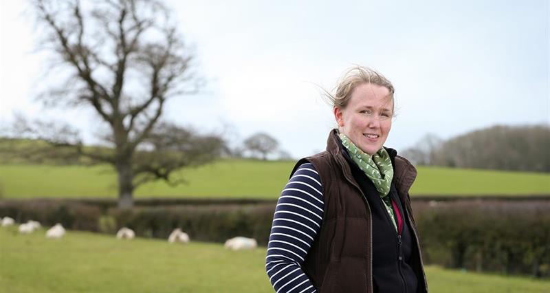A woman standing in a field with a flock of sheep behind her