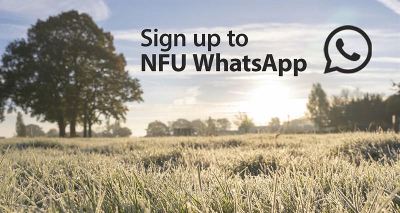Autumnal pic and sign up to NFU WhatsApp listing image