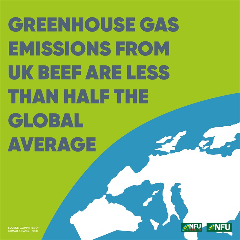 Livestock and climate change infographic showing that greenhouse gas emissions from UK beef are about half the global average
