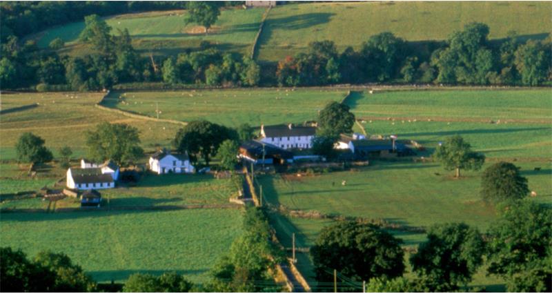 Aerial view of farm