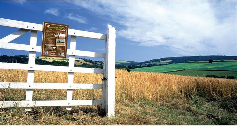 A picture of a field and NFU gate sign displaying 