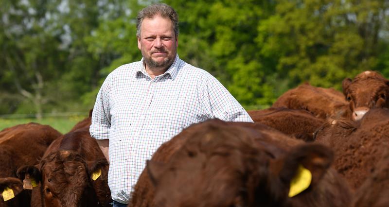Open letter on support for British beef sector   
