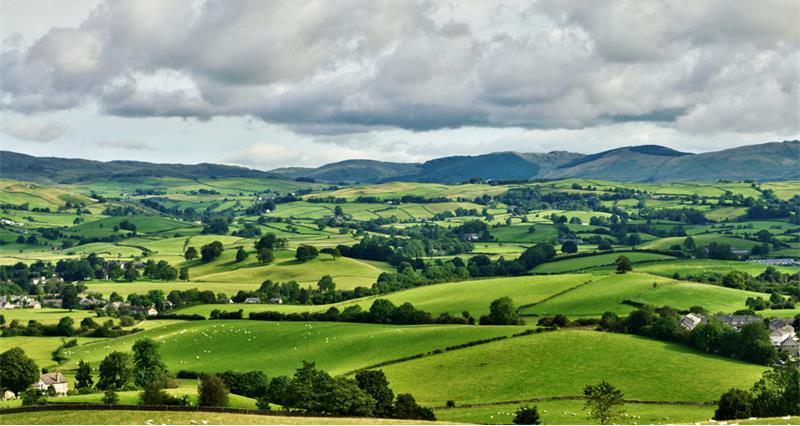 Pastoral scene of lush green English farmland wth a grazing flock of sheep on rolling pastures dotted with farmhouses leading to distant blue hills