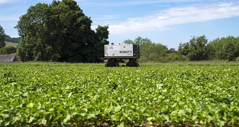 Autonomous Agri Solution's Robotti ground self-driving field robot going across a field of parsnips