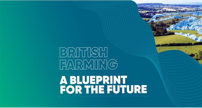 Front page of the report: A blueprint for the future