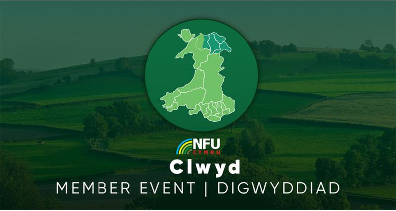 Clwyd county graphic