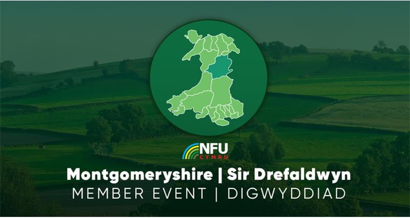 Montgomeryshire graphic 