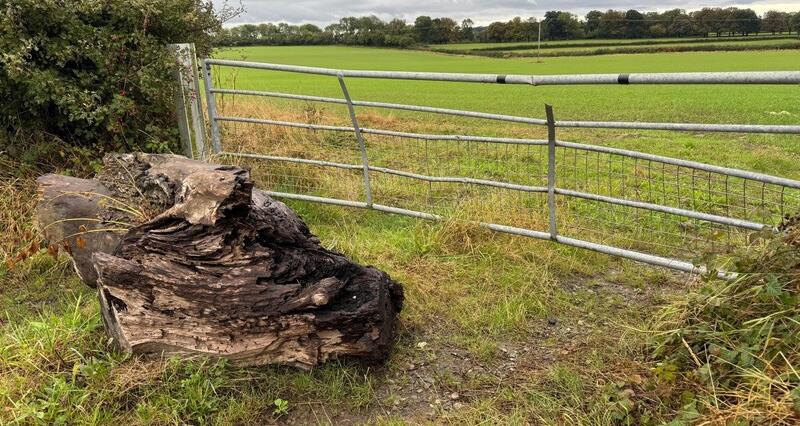 Image of a broken gate due to tresspassing for hare coursing 