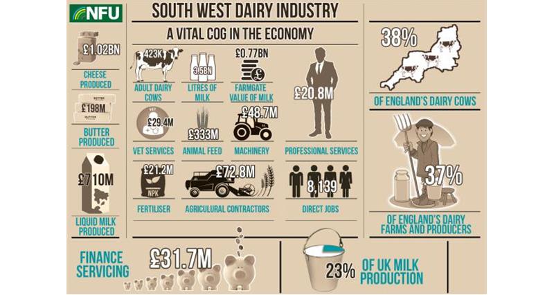 Dairy infographic - NFU logo_37863