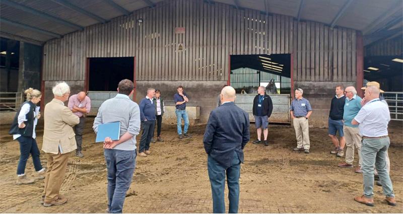 A group of people standing in a farmyard