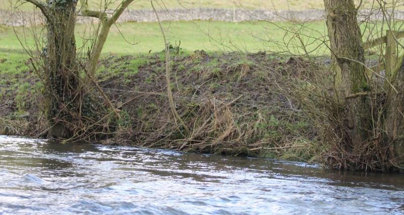 The River Dove