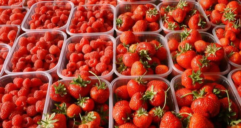 Raspberries and strawberries_40916