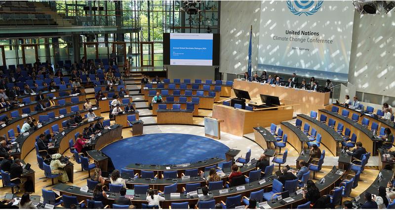 Bonn climate change conference 2024