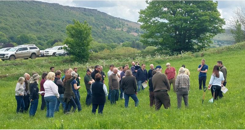 An image of a farm walk with the Peak Farmers group
