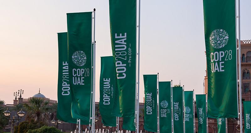 COP28 flags flying in Dubai