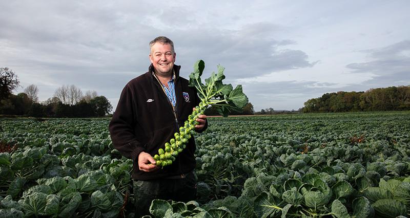 Andrew Hibbard stood in a field holding a crop of sprouts