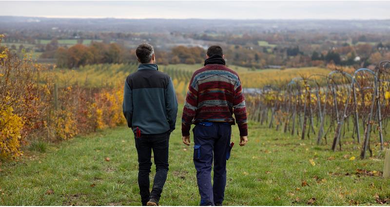 Two people walking through a vineyard