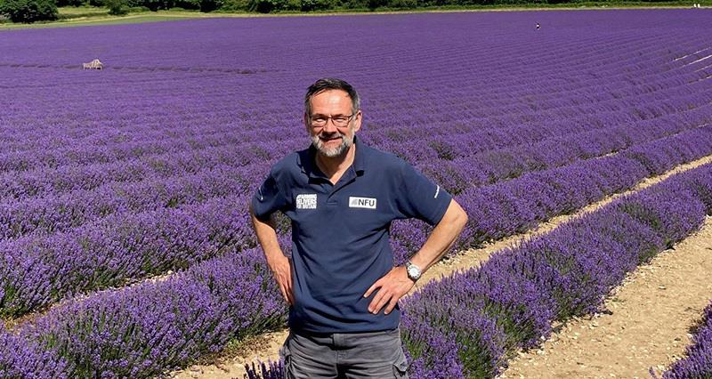William White in a field of lavender 