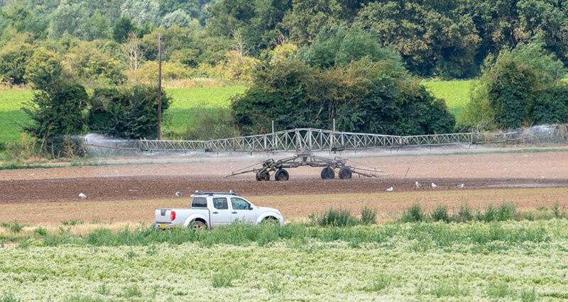 Crops being watered at a farm in Taplow, Buckinghamshire 