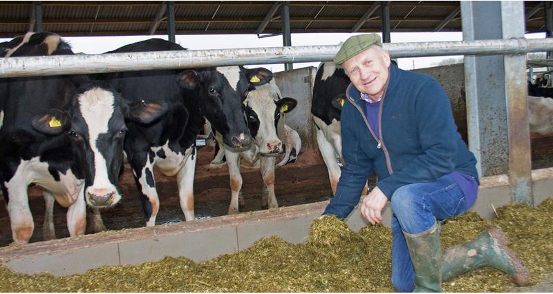David Brookes next to his cows
