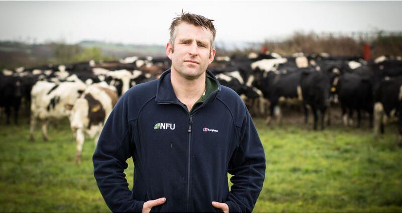 An image of Rob Harrison in front of a field of cows