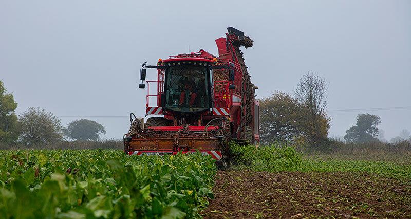 Crabbing sugar beet harvester