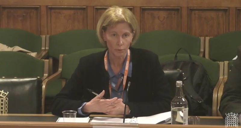 Diane gives evidence to the committee