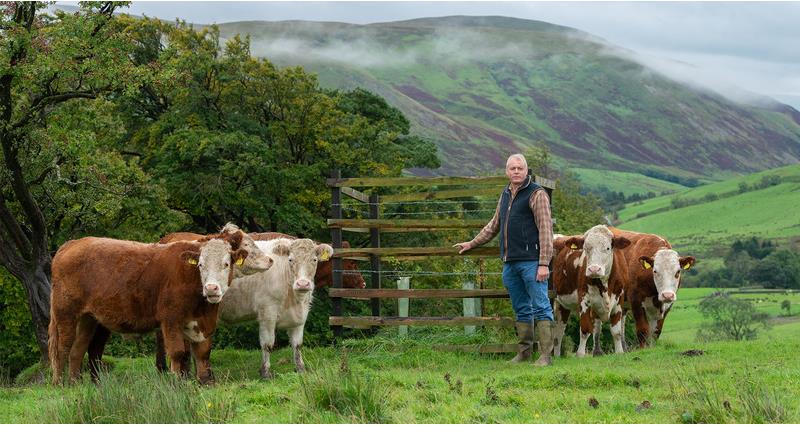Tim Winder stood on his farm with cows