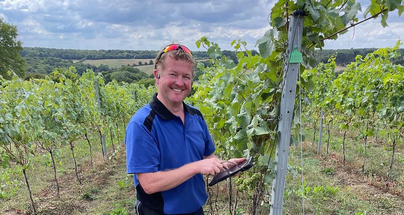An image of Ian Beecher-Jones on his vineyard