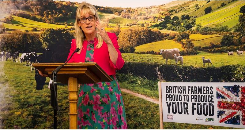 An image of NFU President Minette Batters taken at the NFU's summer reception for MPs and Peers, June 2023