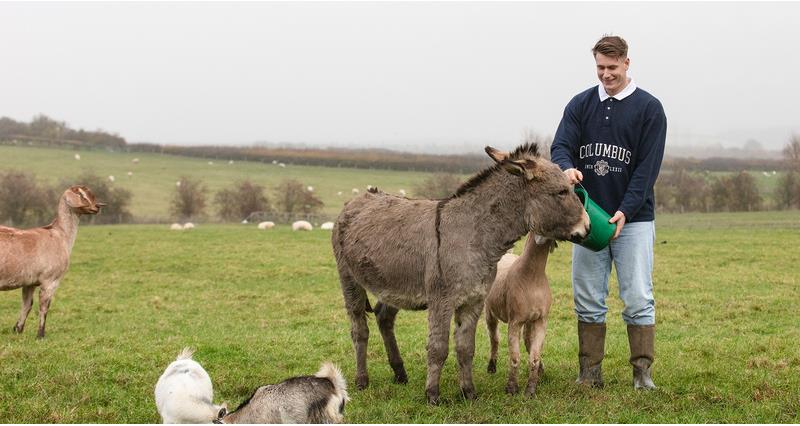 Farmer Will Young feeding a donkey and a goat