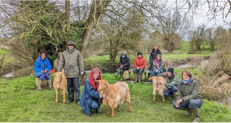 Children and their carers petting goats at Pennyhooks farm